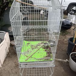 Bird Cage