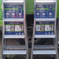 Cosco 2-in-1 Extension Ladder