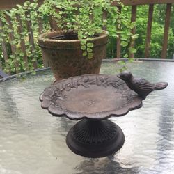 “Bird Bath” Decorative Dish