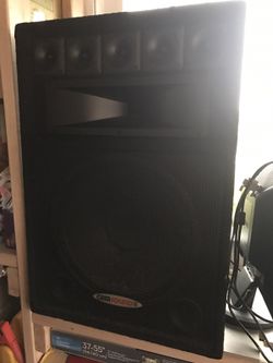 Speaker (2 pieces)