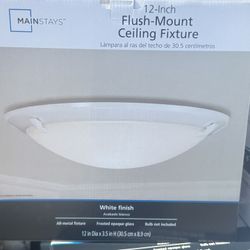12 -inch Flush Mount Light Fixture