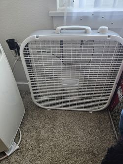 Fan