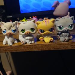 Littlest pet shop cats