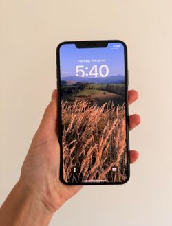 Apple iPhone XS Max 256Gb Black