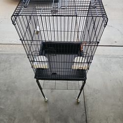Bird Cage