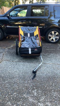 Bike buggy