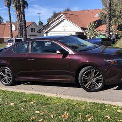 2010 Scion tC