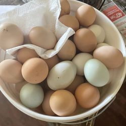 Organic Farm Raised not Caged Eggs 