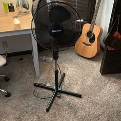 Fan