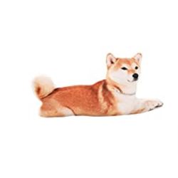Shiba Inu Dog Big 36” Pillow
