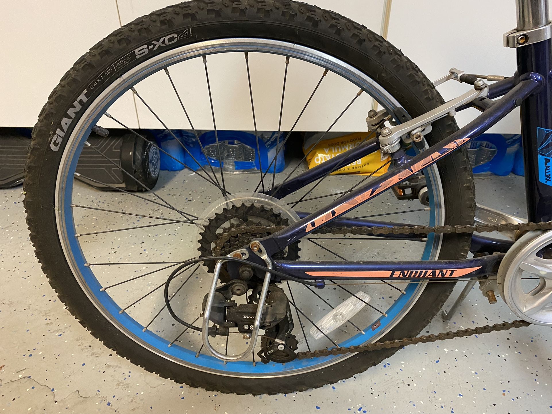 Girls Bike Luv Enchant