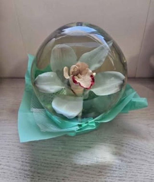 Bill Doran Mexico ORCHID Flower Globe Preserved Decor 7" Teal Green Clear Gorg!!