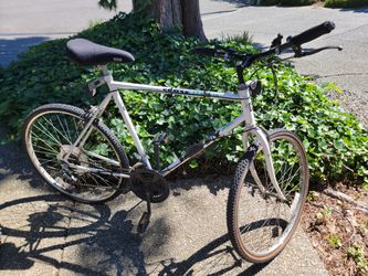 Adult bicycle