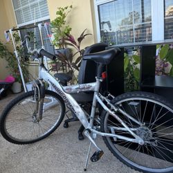 Aluminum Bike