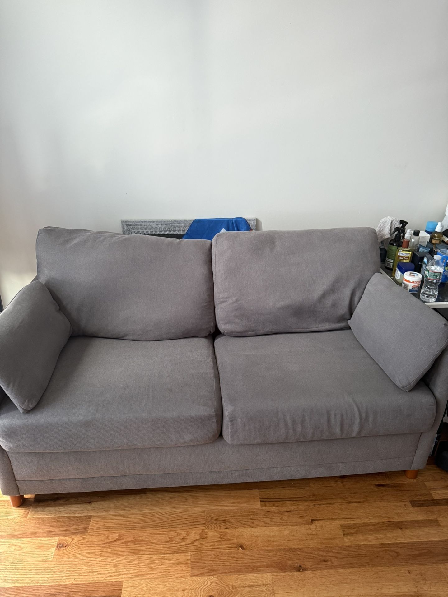Couch / Pull Out Couch
