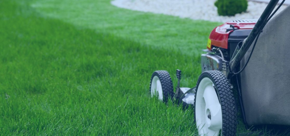 Anyone Need There Lawn Cut ?