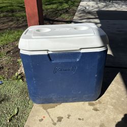 Coleman Cooler 