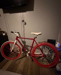 CARACI FIXIE