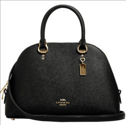 Coach bag brand new