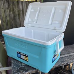 COOLER Igloo Laguna 48-quart hard-sided ice chest cooler. 
Capacity: It holds 48 quarts, which is approximately 76 cans. 
Insulation: It utilizes Ultr
