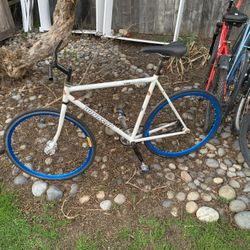 Fixie Bike