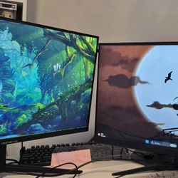 Dual Gaming Monitors