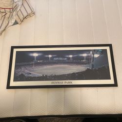 Fenway Park Frame 