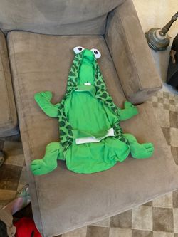 Large dog frog costume