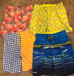 Boys Swimsuit Lot Size 10/12
