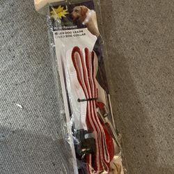 Waterproof, Light Up Dog Leash