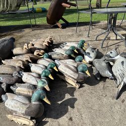 Duck decoys