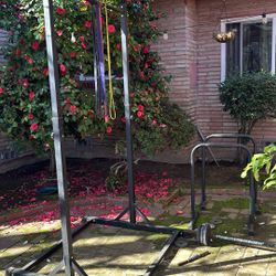 Pull Up And Dip Bars 