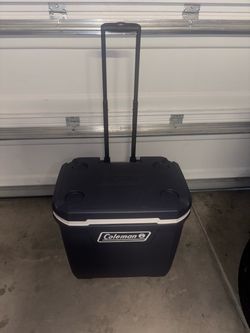 Large cooler