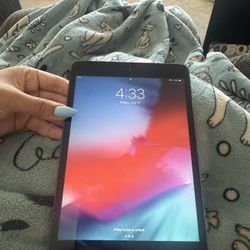 iPad Mini