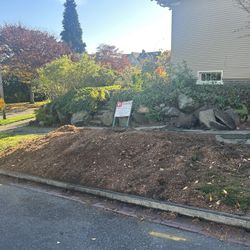 Free Cedar Mulch