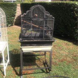 Bird Cage