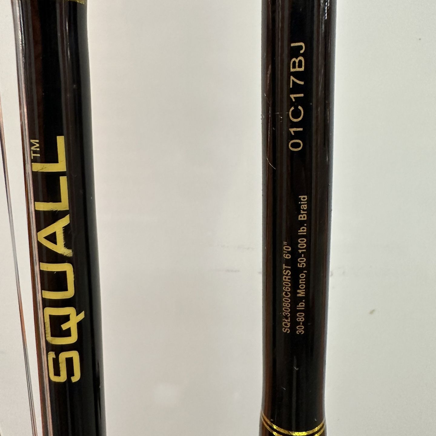 PENN Squall 60LD With Rods 