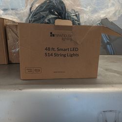 48 ft. Smart led String Lights
