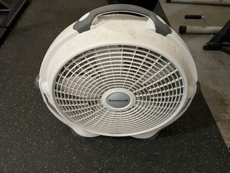 Fan