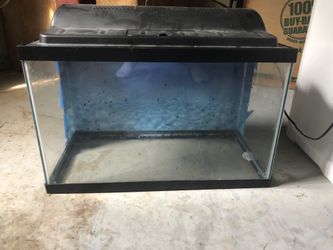 10g fish tank with light
