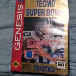Sega Genesis Video Game