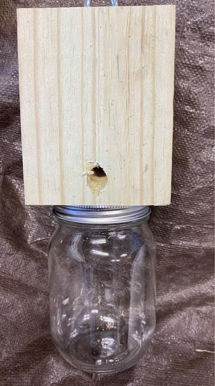 Paw Paw’s HANDMADE CARPENTER BEE TRAPS