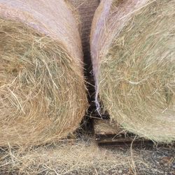 4x4 Round Bales 