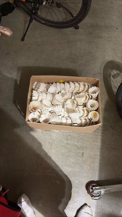 Box full of badminton shuttlecocks