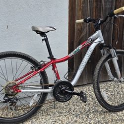 Specialized Bike