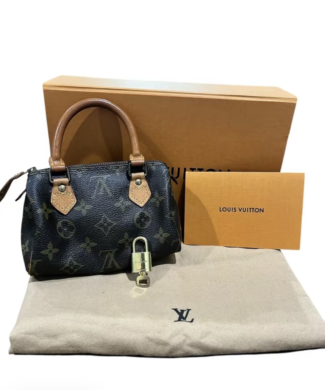 Louis Vuitton Speedy Nano 