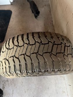 Wheels and tires