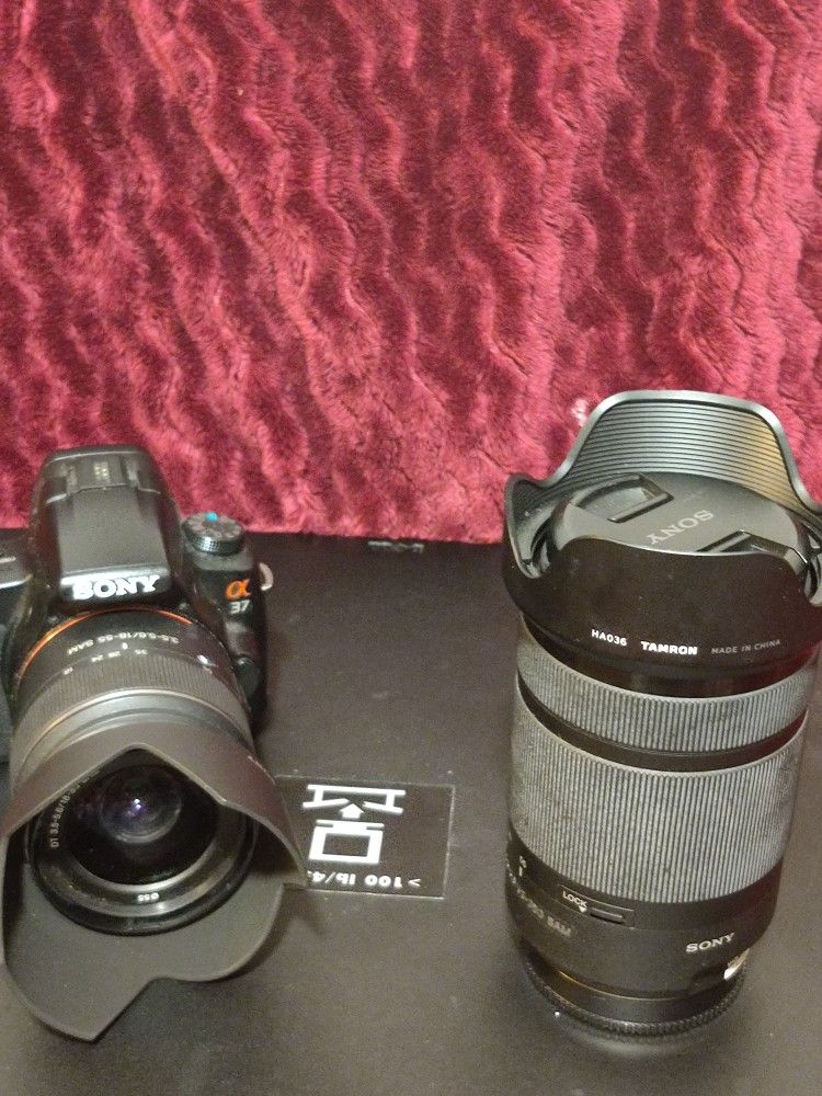 SONY Digital SLR Camera