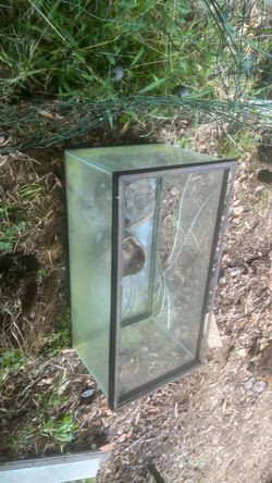 Free reptile tank needs back and bottom repaired and cleaned