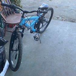 Mountain Bike